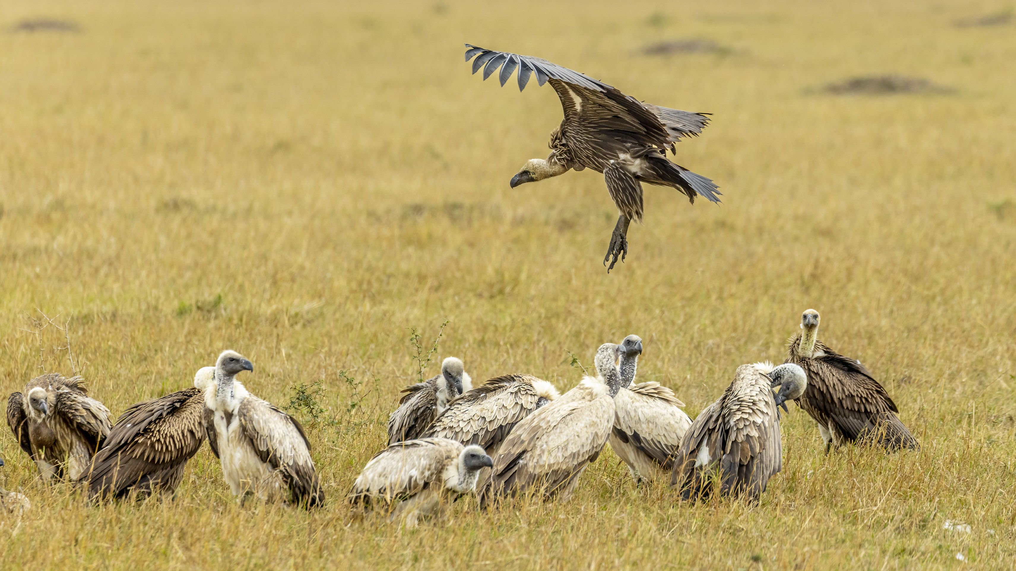 November 12, 2022-123234-4-Edit.jpg